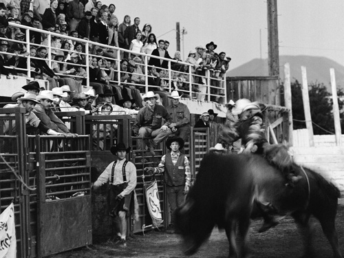 Vintage Broncing Bull and Wrangler